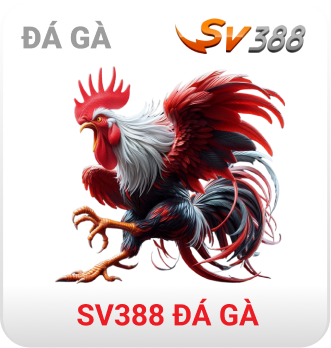 Link vào MM88 19 sv388-da-ga